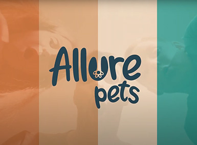 Allure Pets