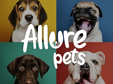 Allure Pets