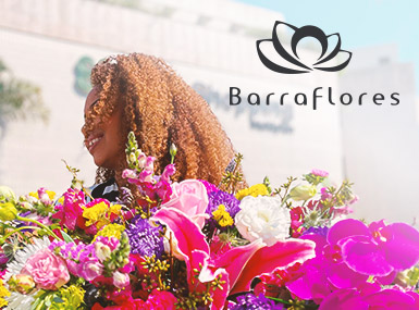 Barra Flores