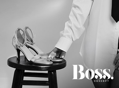 Boss Concept