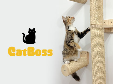 Cat Boss